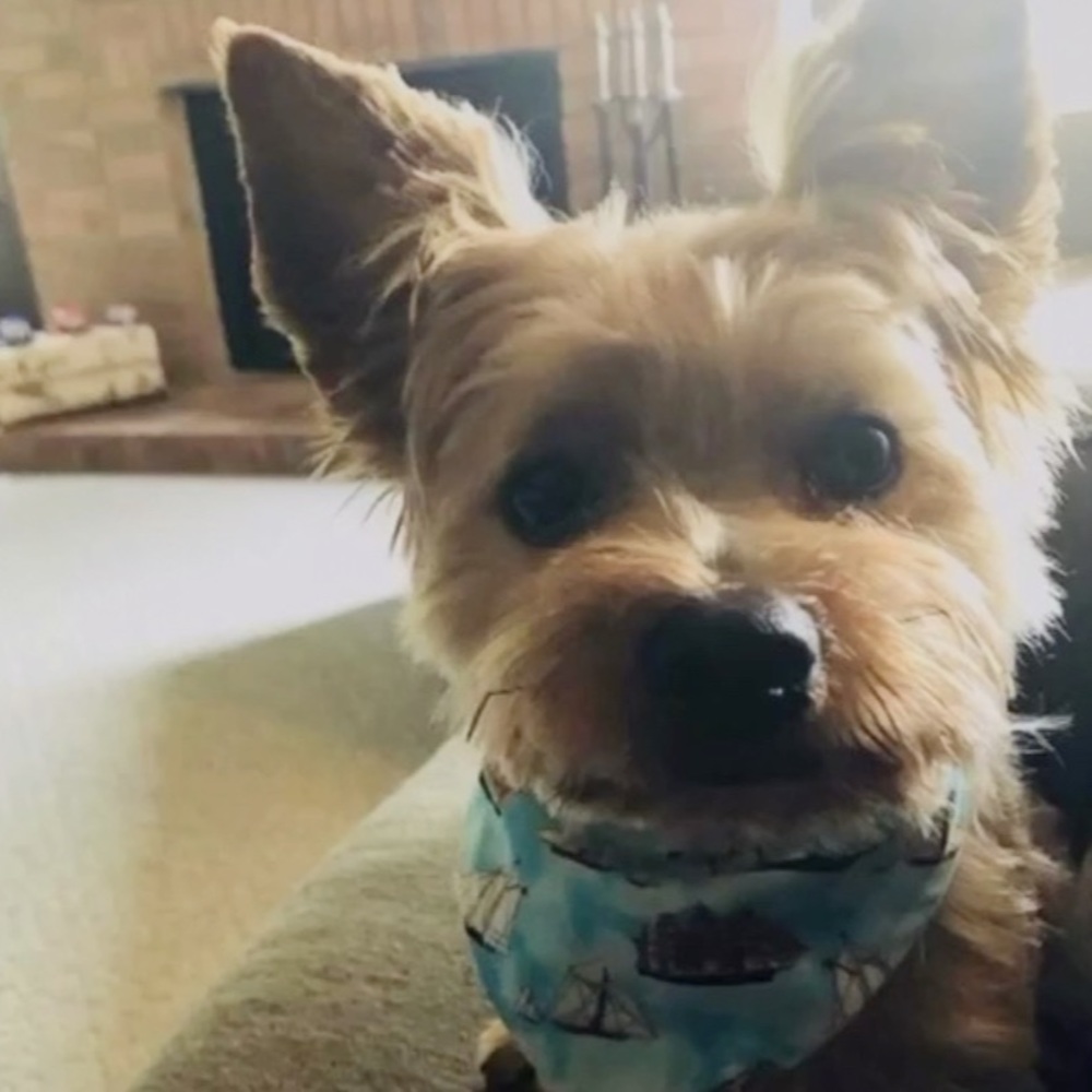 Meet your Posher, Charlotte